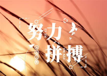 兰州财经大学考研资讯
